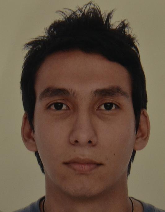 Miguel Angel Ulloa Suarez
