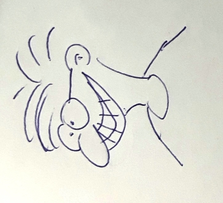 Wendolin Besselbeam